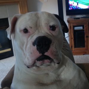 Meet your Posher, Craig